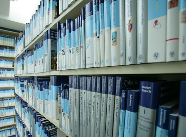 Thieme Verlag